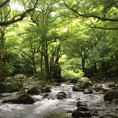 这里有传说中有龙居住的安艺贞渊,有高松宫宣仁亲王赐名的藤见河原等