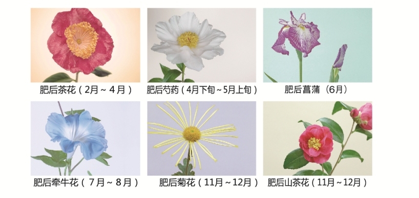 flower cn.jpg