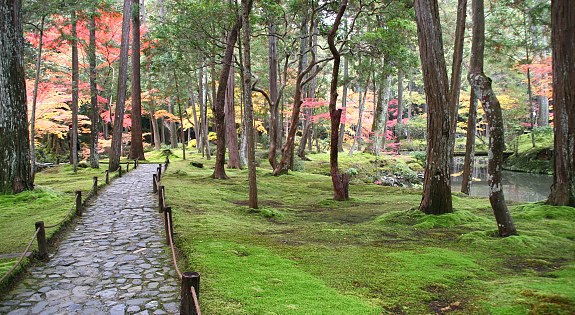 photo_002_Kokedera__Moss_Temple__.jpg