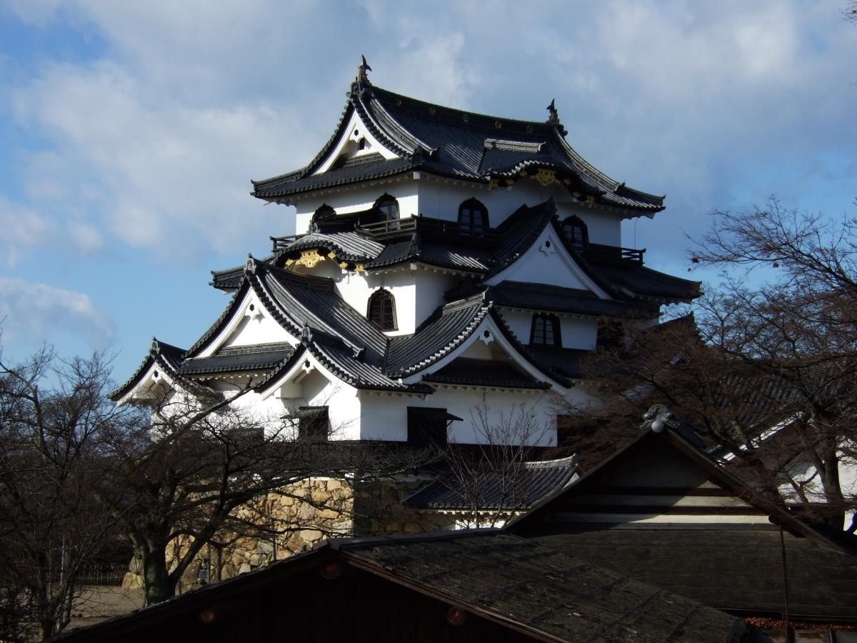 photo_003Hikone_castle.JPG