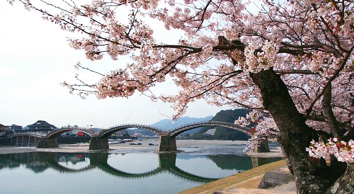 photo001_kintai-kyo_bridge_.jpg