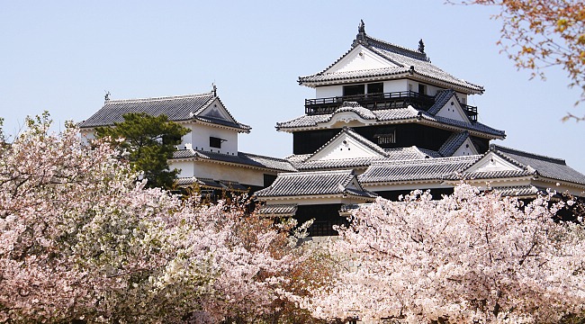 photo002_matsuyama-castle_.jpg