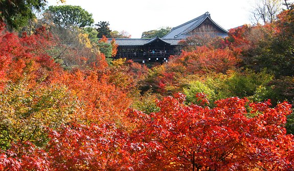 photo_002_Tofukuji_Temple_.jpg