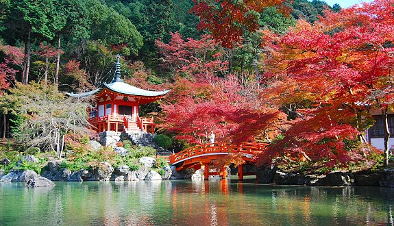 photo_003_Daigoji_Temple_.jpg