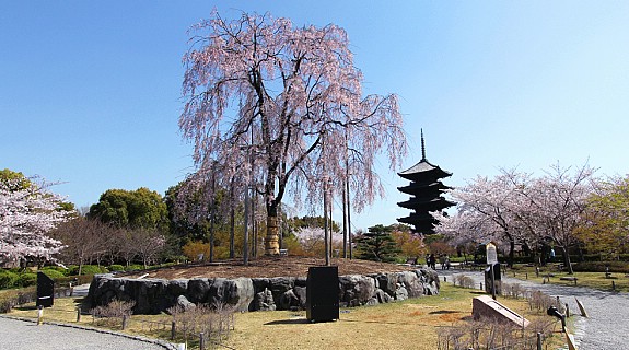 photo_004_Toji_Temple_.jpg