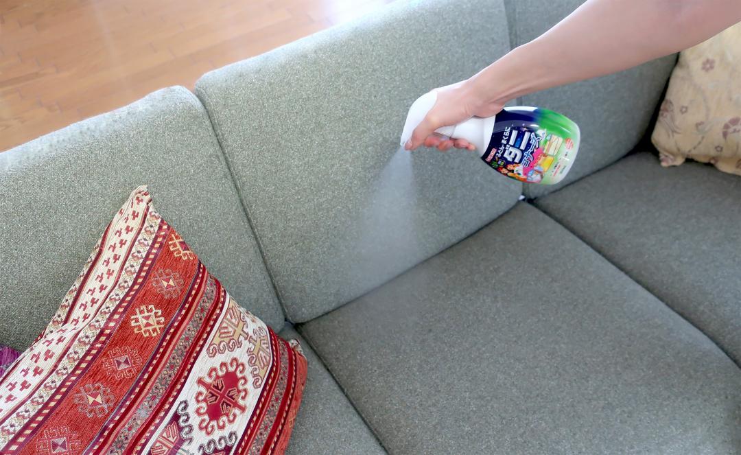 s22_d13_dani_kona_sp_sofa.jpg s22_d13_dani_kona_sp_sofa.jpg
