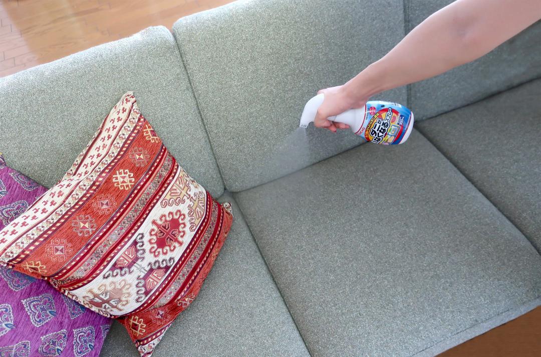 s22_d8_daisu_fs_sofa.jpg s22_d8_daisu_fs_sofa.jpg