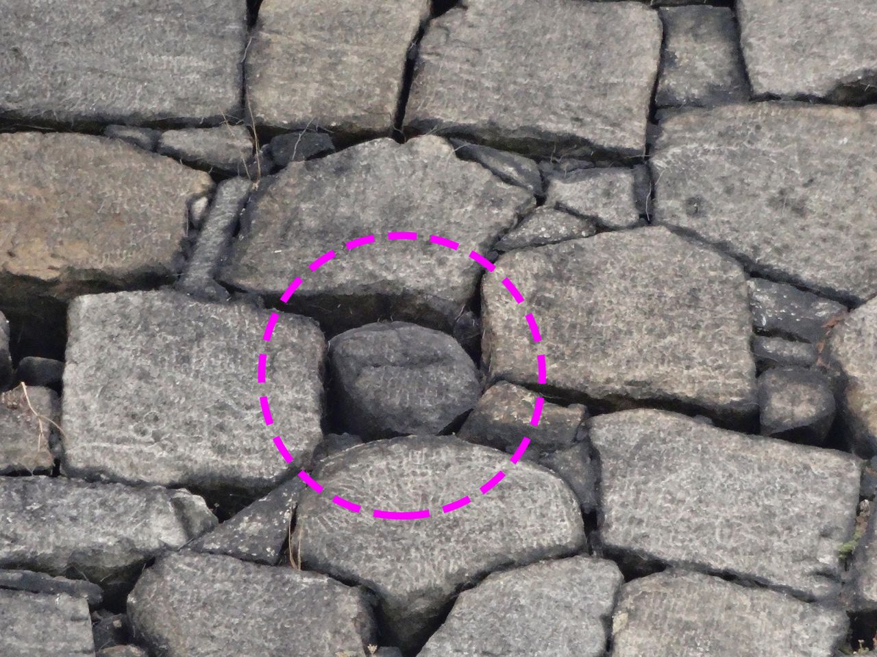 人面石 解除済み.jpg