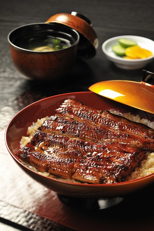 th_ Mishima eel 01.jpg th_三島うなぎ01.jpg