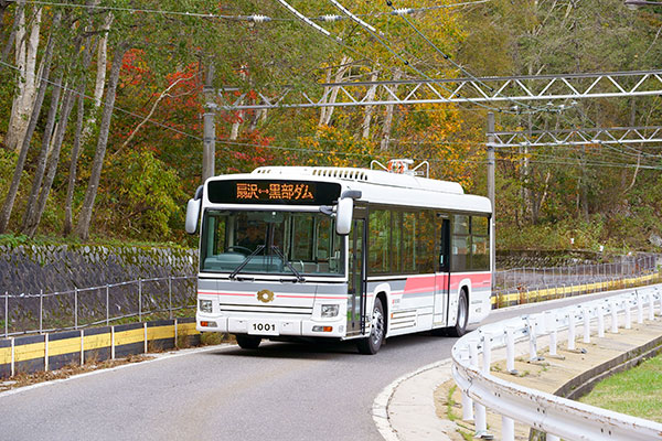 bus