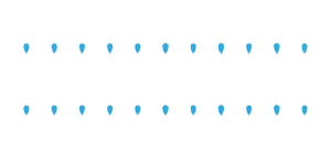 Tokyo Mizube Cruising Line