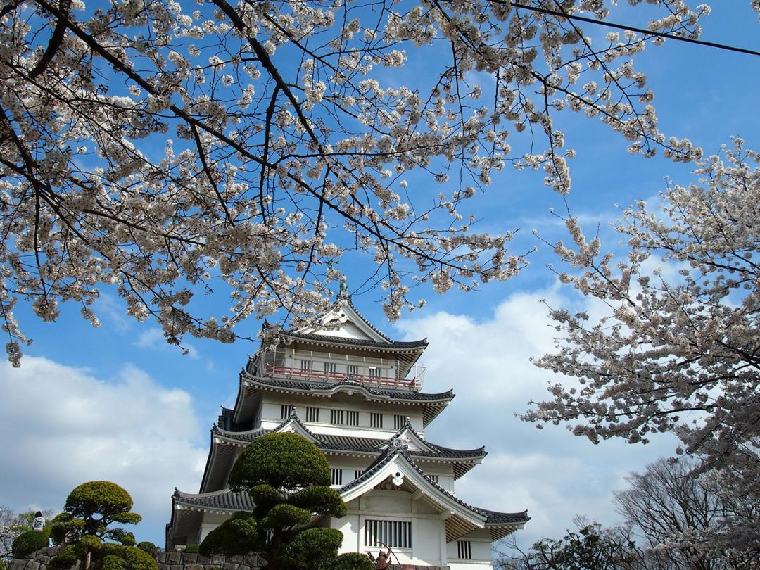 A museum on the site of the former castle of the Chiba clan A museum on the site of the former castle of the Chiba clan