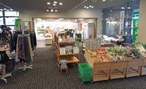 01_shop.jpg 01_shop.jpg