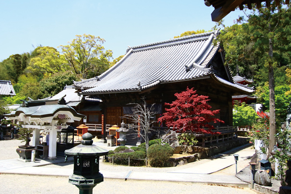 03konsenji-1