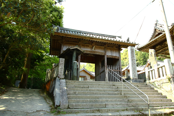 11fujiidera-1