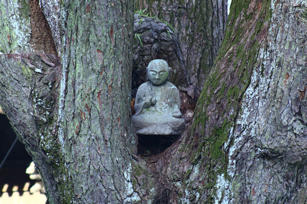 14jorakuji-2