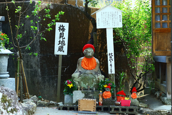 30zenrakuji-2