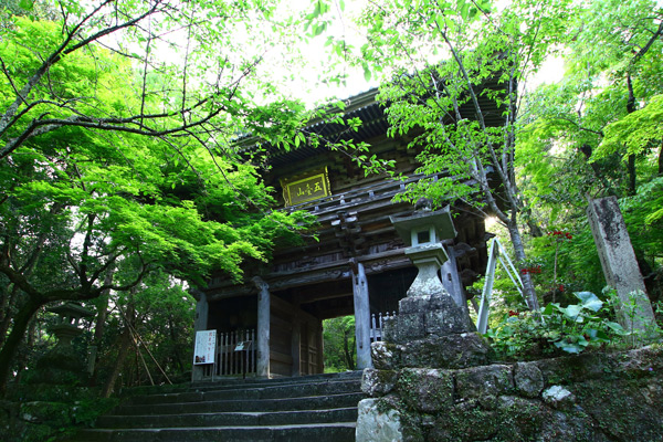 31chikurinji-1