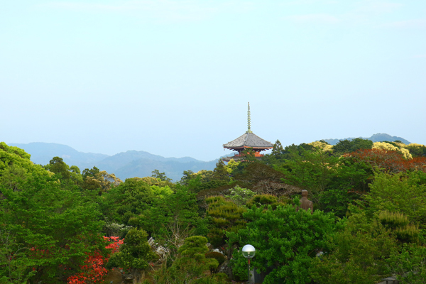 31chikurinji-2