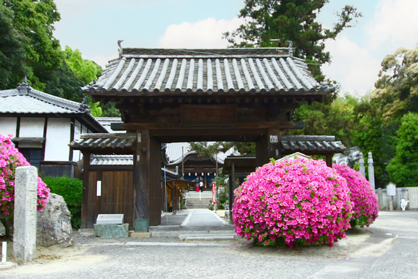 54enmeiji-1