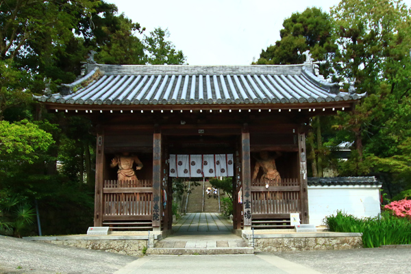 68jinnein-1