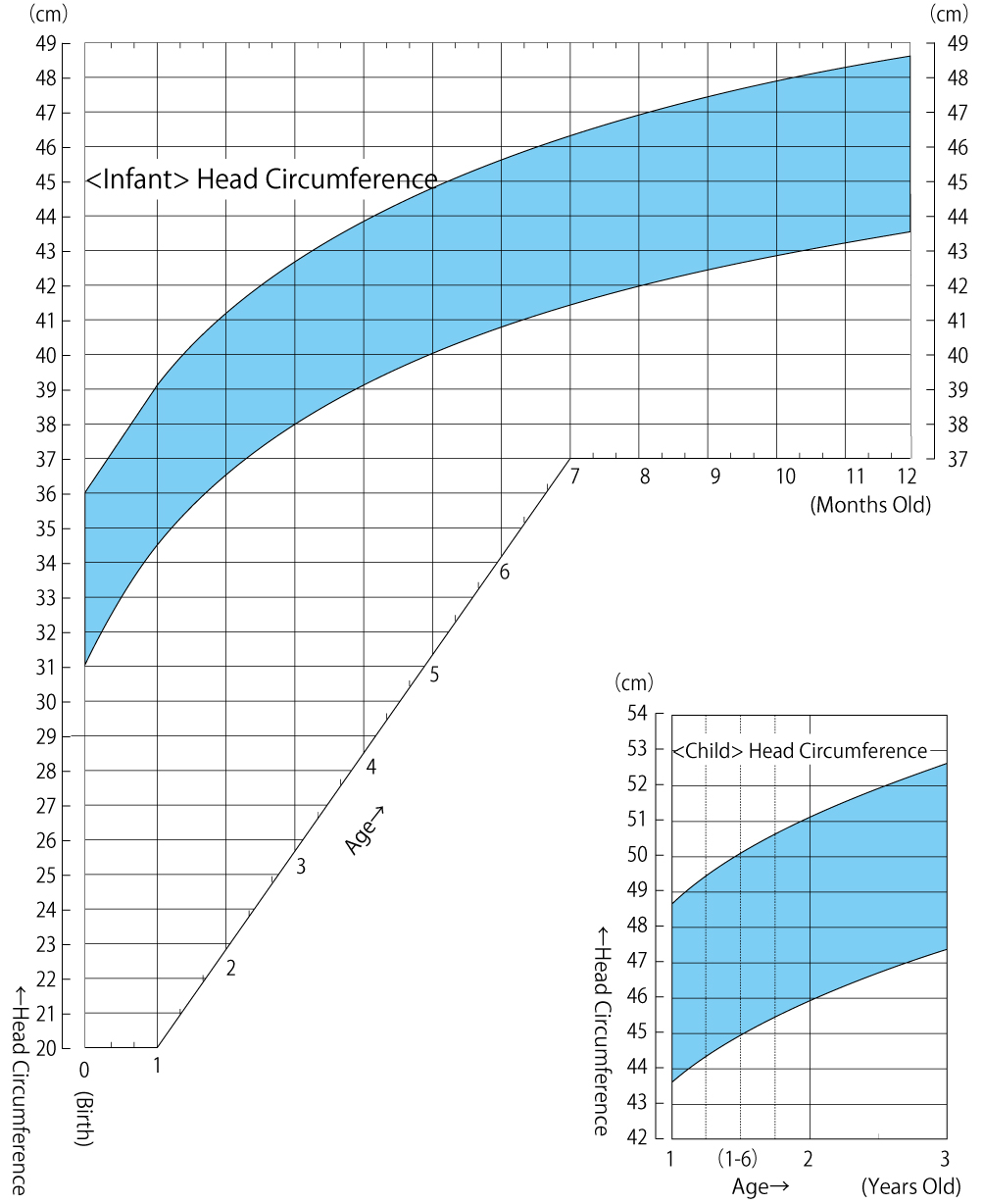 Chart For Head Circumference 