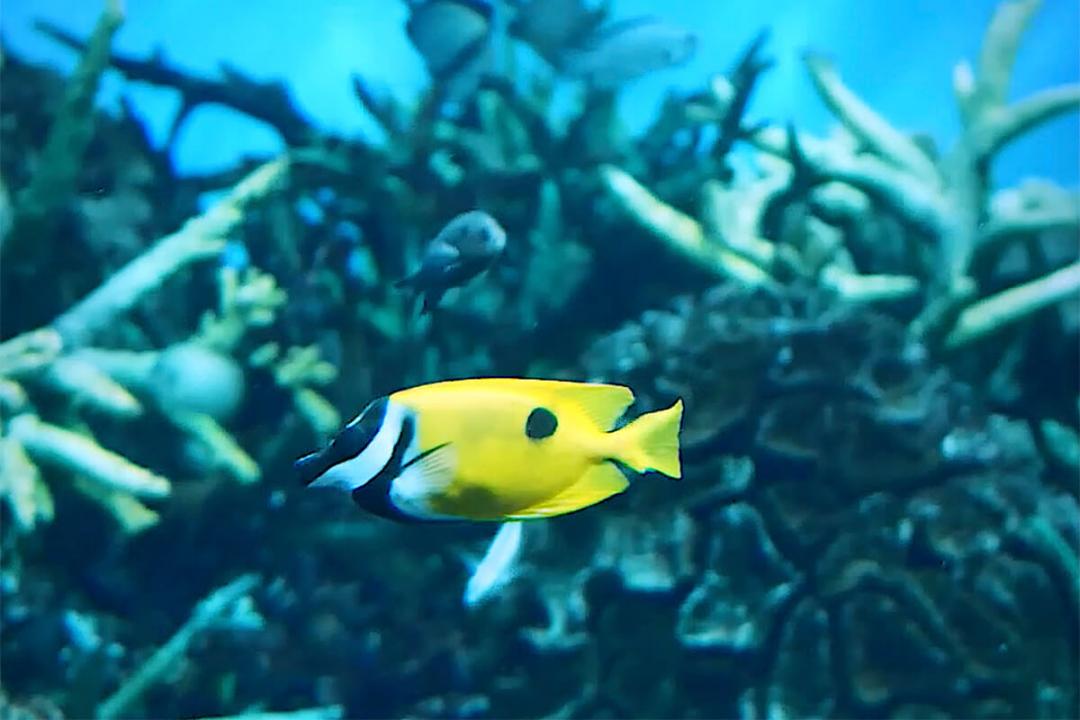 Kagoshima Aquarium