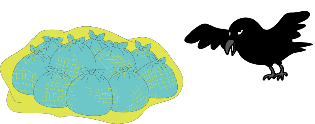 カラスとネット.png