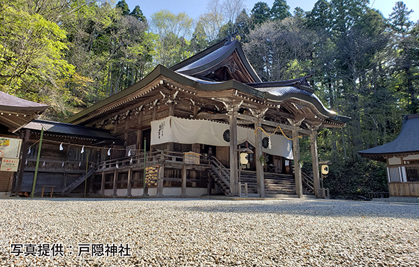 定期観光バス パワースポット善光寺と戸隠 小布施号 参拝コース 参拝なしコース Qr Translator 定期観光バス パワースポット善光寺と戸隠 小布施号 参拝コース 参拝なしコース Qr Translator