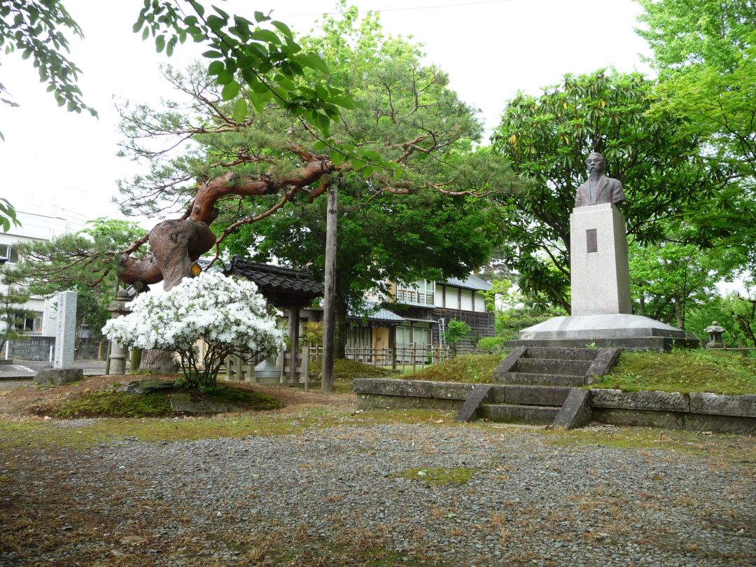 庭園（白ツツジ・胸像）.JPG