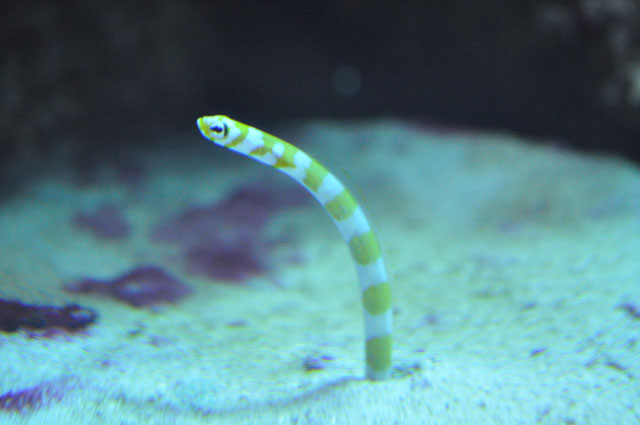 001_01.jpg 001_01.jpg