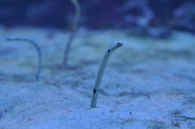 001_02.jpg 001_02.jpg