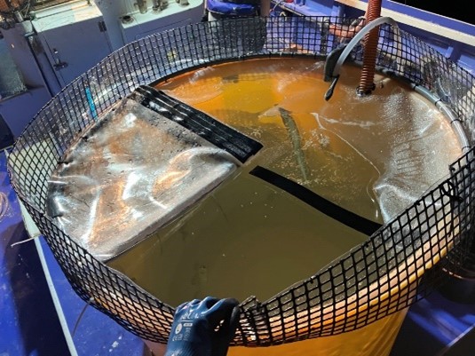 Image2.jpg 画像2.jpg