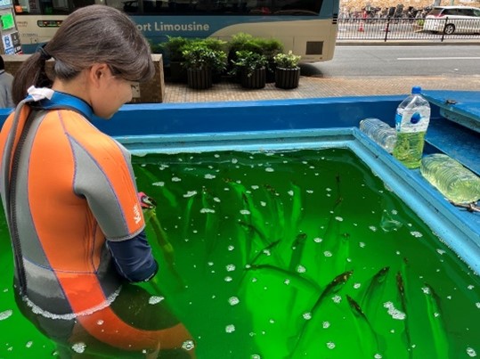 Image3.jpg 画像3.jpg